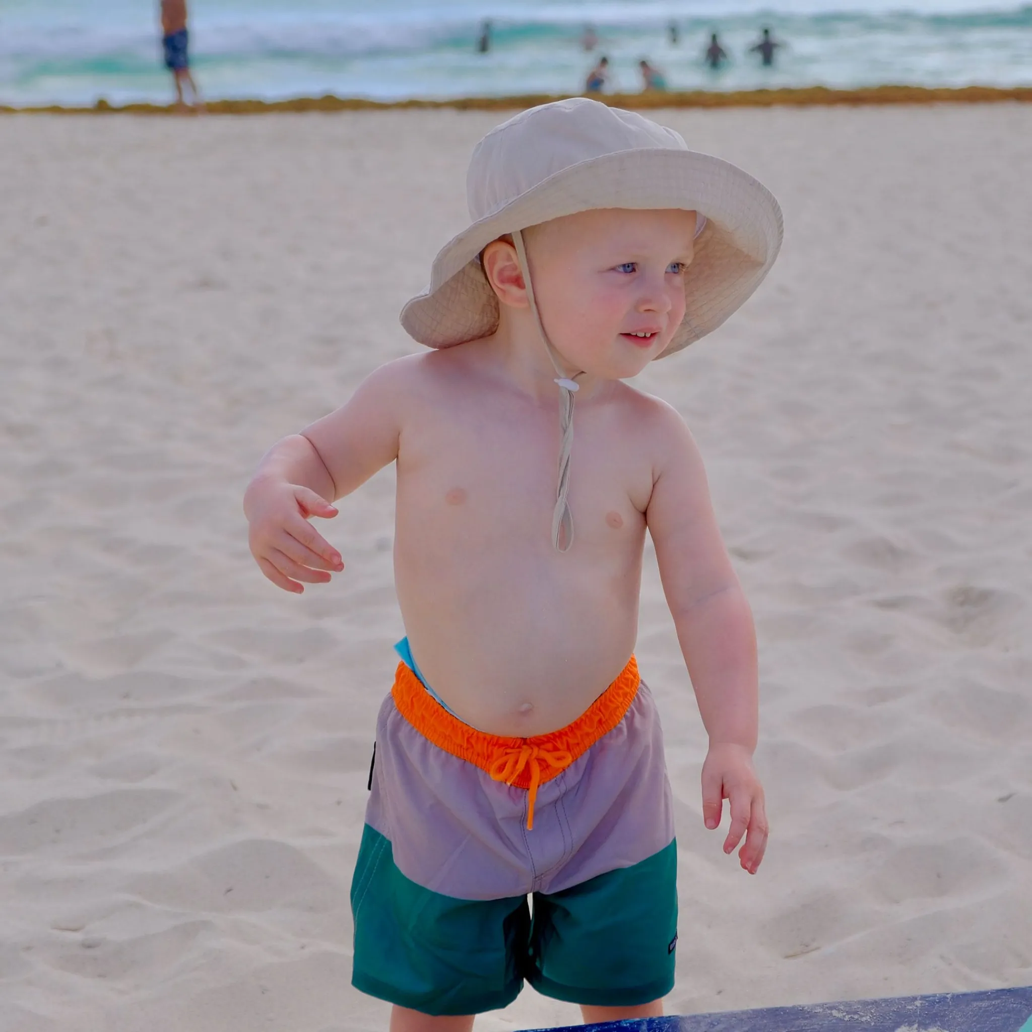 Kids/BOY Birdz Colorblock Uv Swim Shorts 2-10