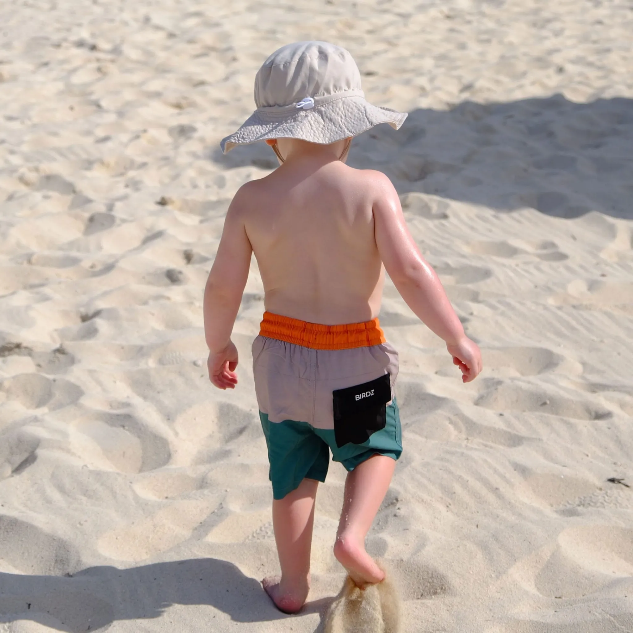 Kids/BOY Birdz Colorblock Uv Swim Shorts 2-10