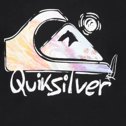 Kids/BOY Quiksilver Core Photoreal T-shirt 4-7