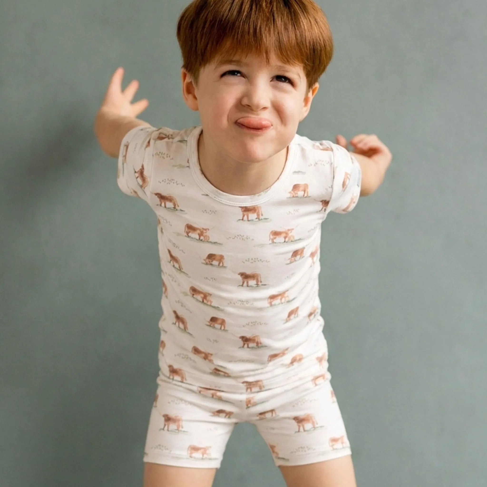 Kids/BOY Coccoli Cows Short Pajamas 2-12