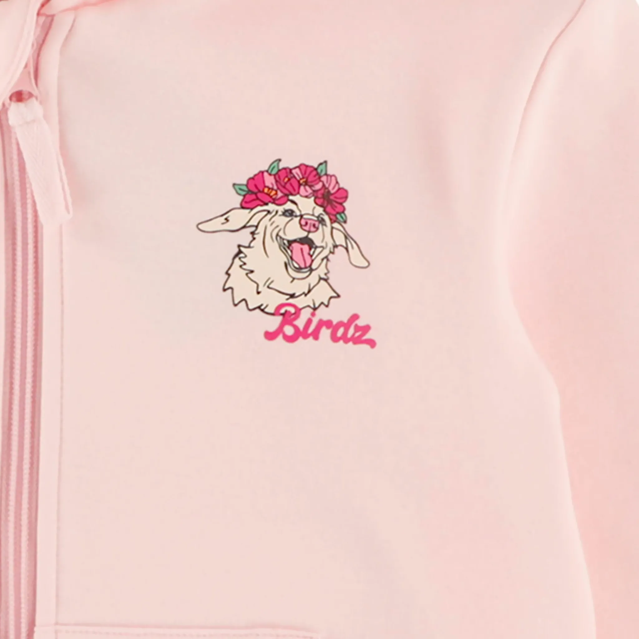 Kids Birdz Fleeces And Sweatshirts|Tops>Cute Dog Hoodie 2-10