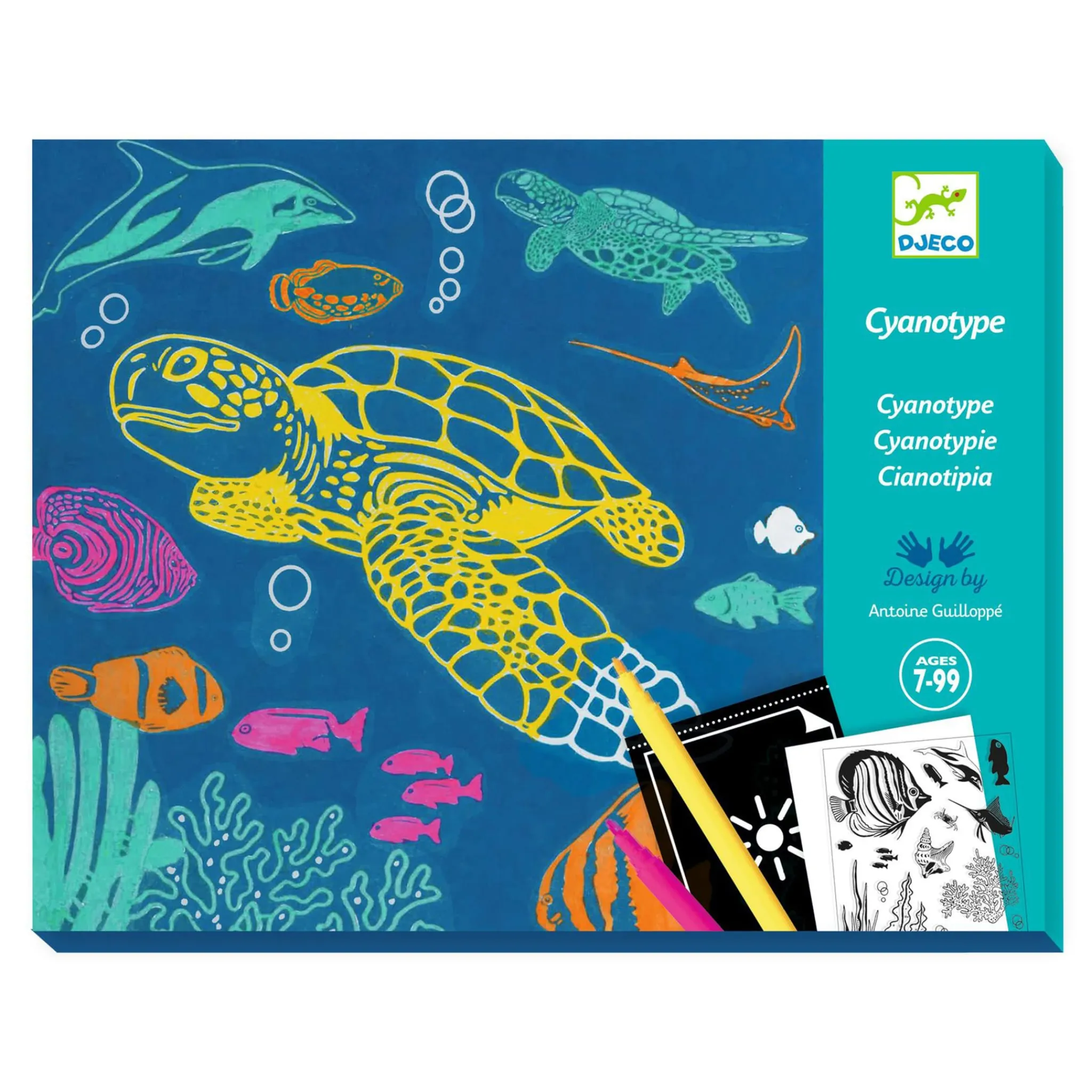 Kids Djeco Diy & Activities>Cyanotype Ultramarine