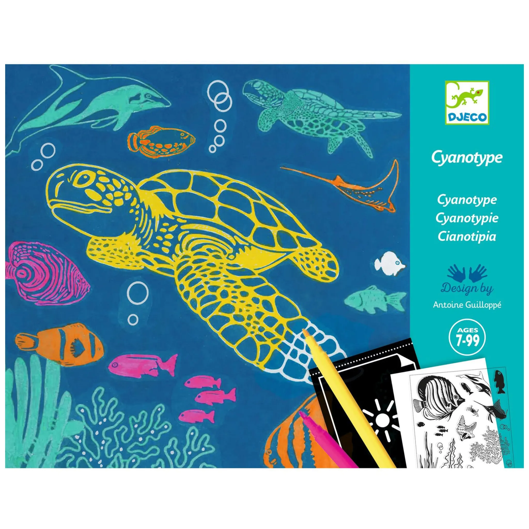 Kids Djeco Diy & Activities>Cyanotype Ultramarine