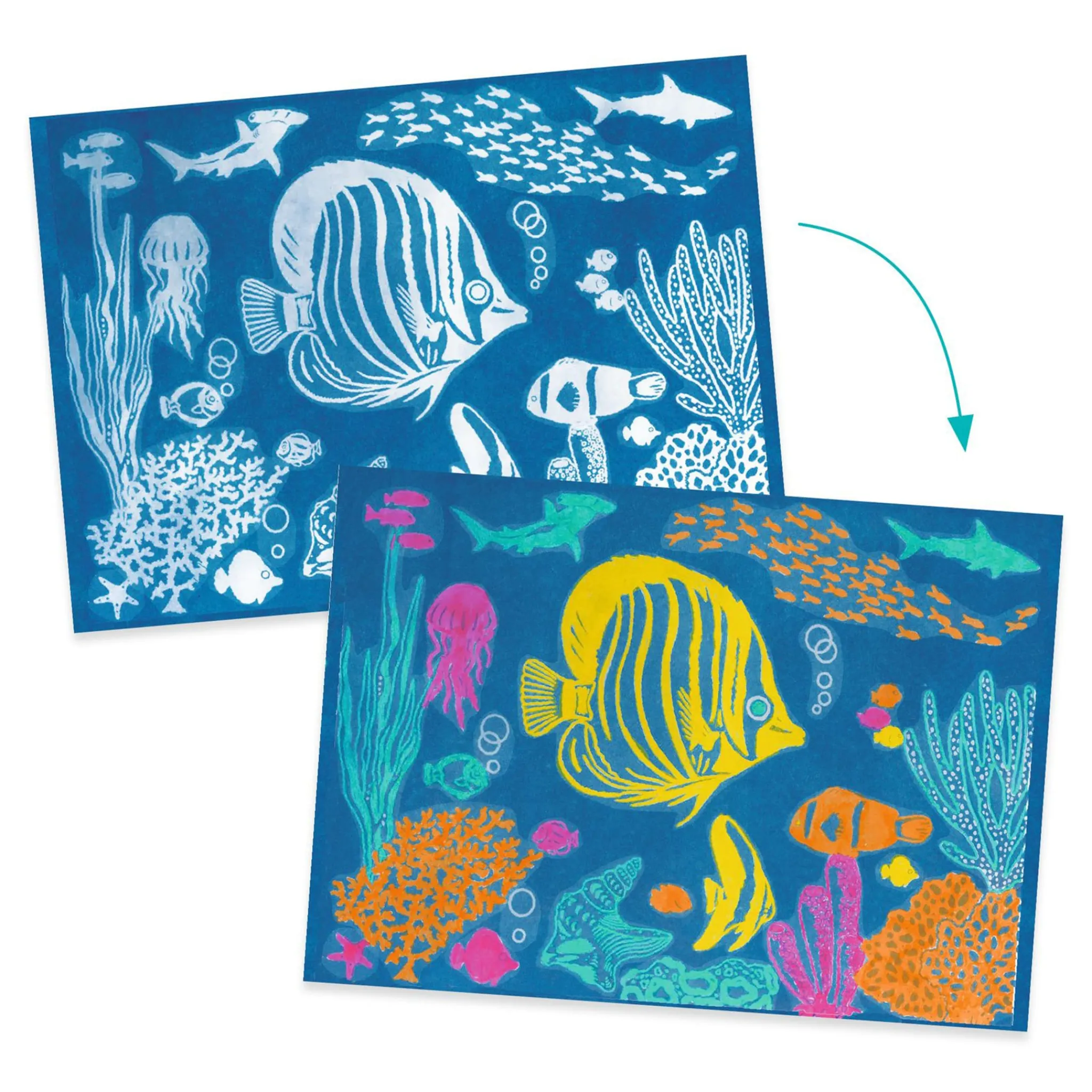 Kids Djeco Diy & Activities>Cyanotype Ultramarine
