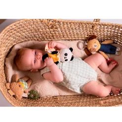Taf Toy Daniel Activity Toy