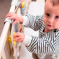 Taf Toy Developmental Activity center