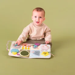 Taf Toy Developmental Activity center