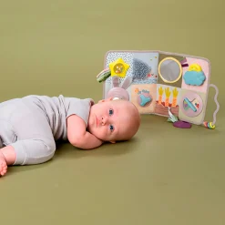 Taf Toy Developmental Activity center