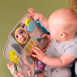 Taf Toy Developmental Activity center