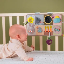 Taf Toy Developmental Activity center