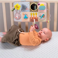 Taf Toy Developmental Activity center