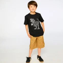 Kids/BOY Deux par Deux Tops>Dino Boys T-shirt 3-6