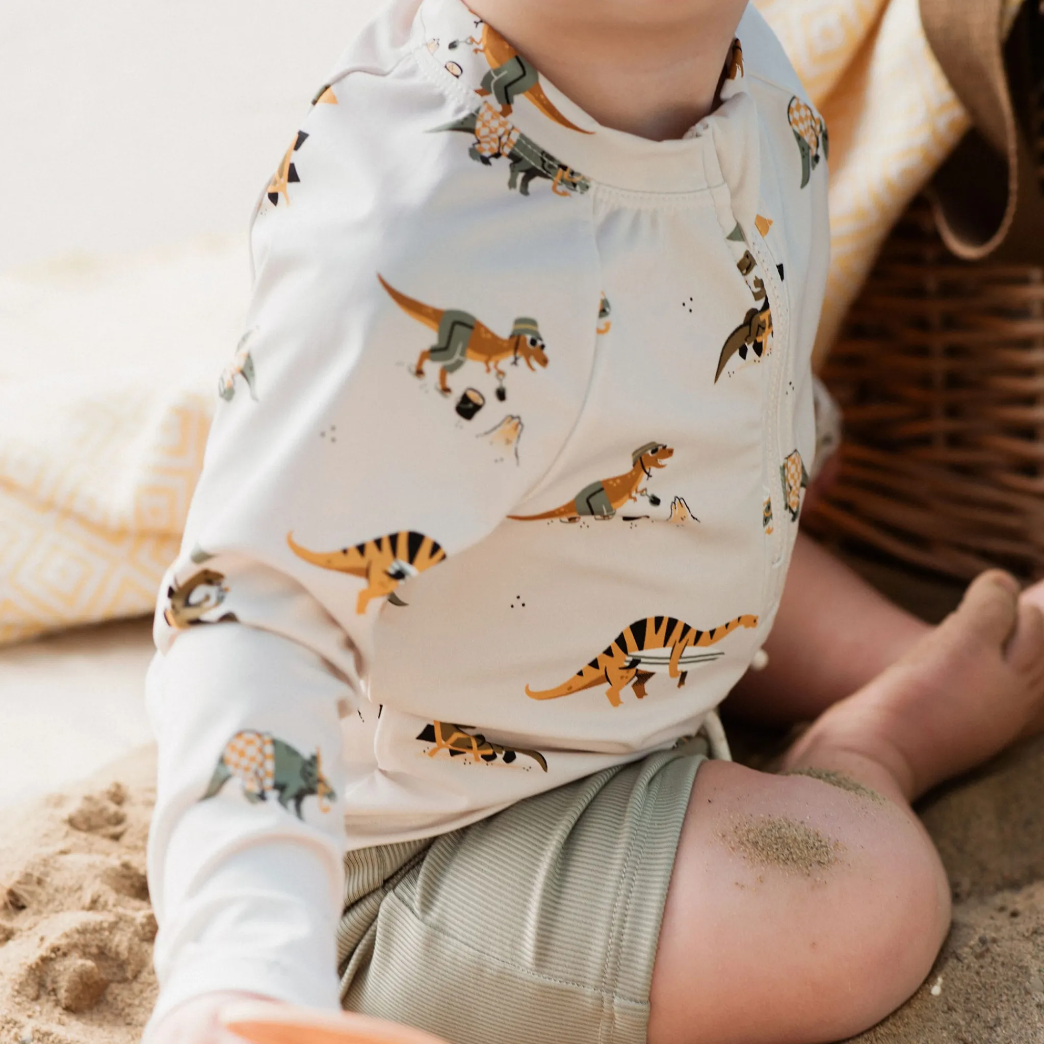 BOY Petit Lem Dinos 2 Piece Long Sleeve Swimsuit 6-24m