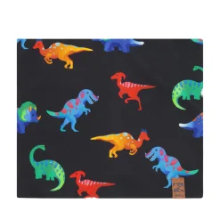 Kids/BOY Deux par Deux Dinos Neck Warmer 2-14