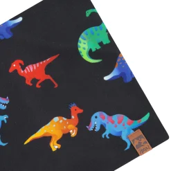 Kids/BOY Deux par Deux Dinos Neck Warmer 2-14