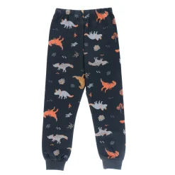 Kids/BOY Nano Dinos 3pc Pajamas 2-12
