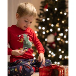 Kids/BOY Roche Ciseaux Dinosaures Pajamas 2-14y