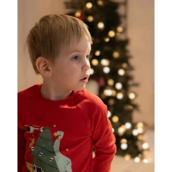 Kids/BOY Roche Ciseaux Dinosaures Pajamas 2-14y