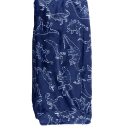 Kids Textile City inc Dinos-plush Blankets