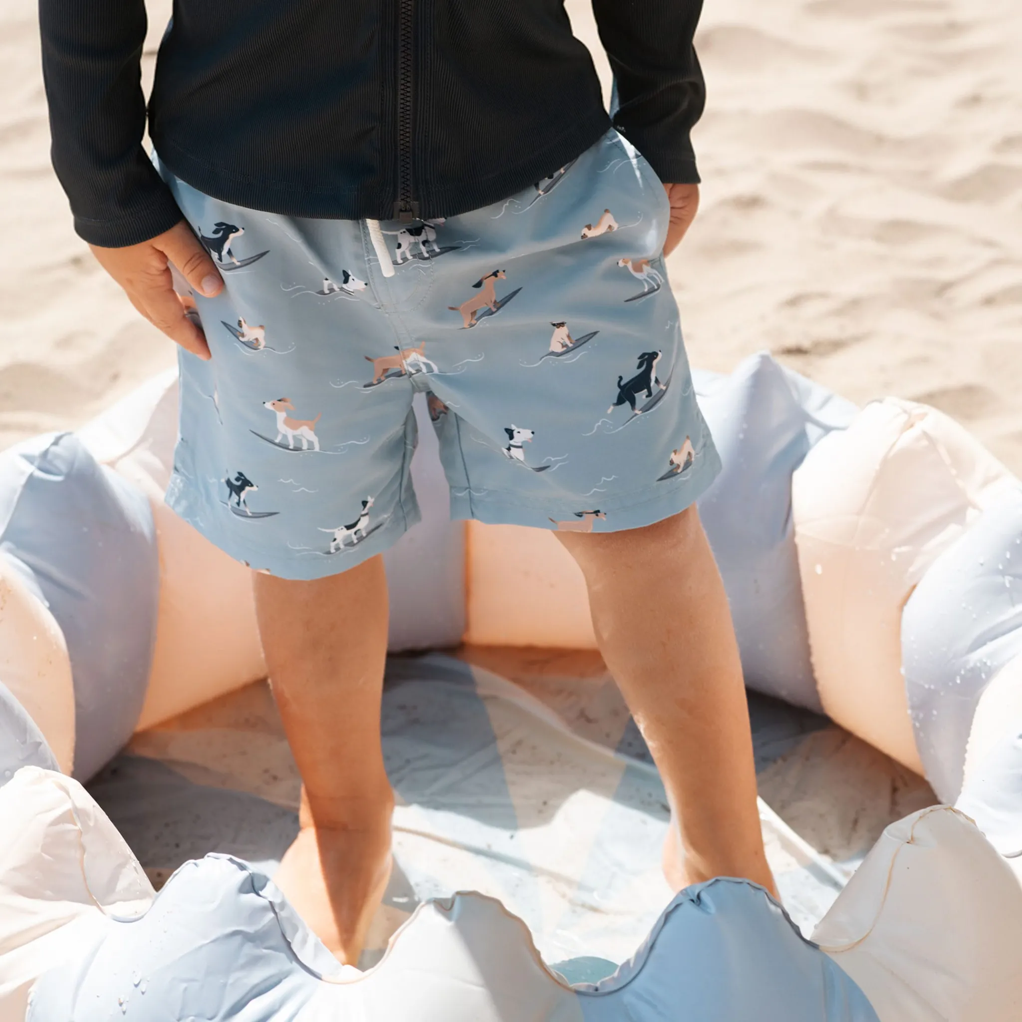 Kids/BOY Petit Lem Dogs Swimshorts 2-7y