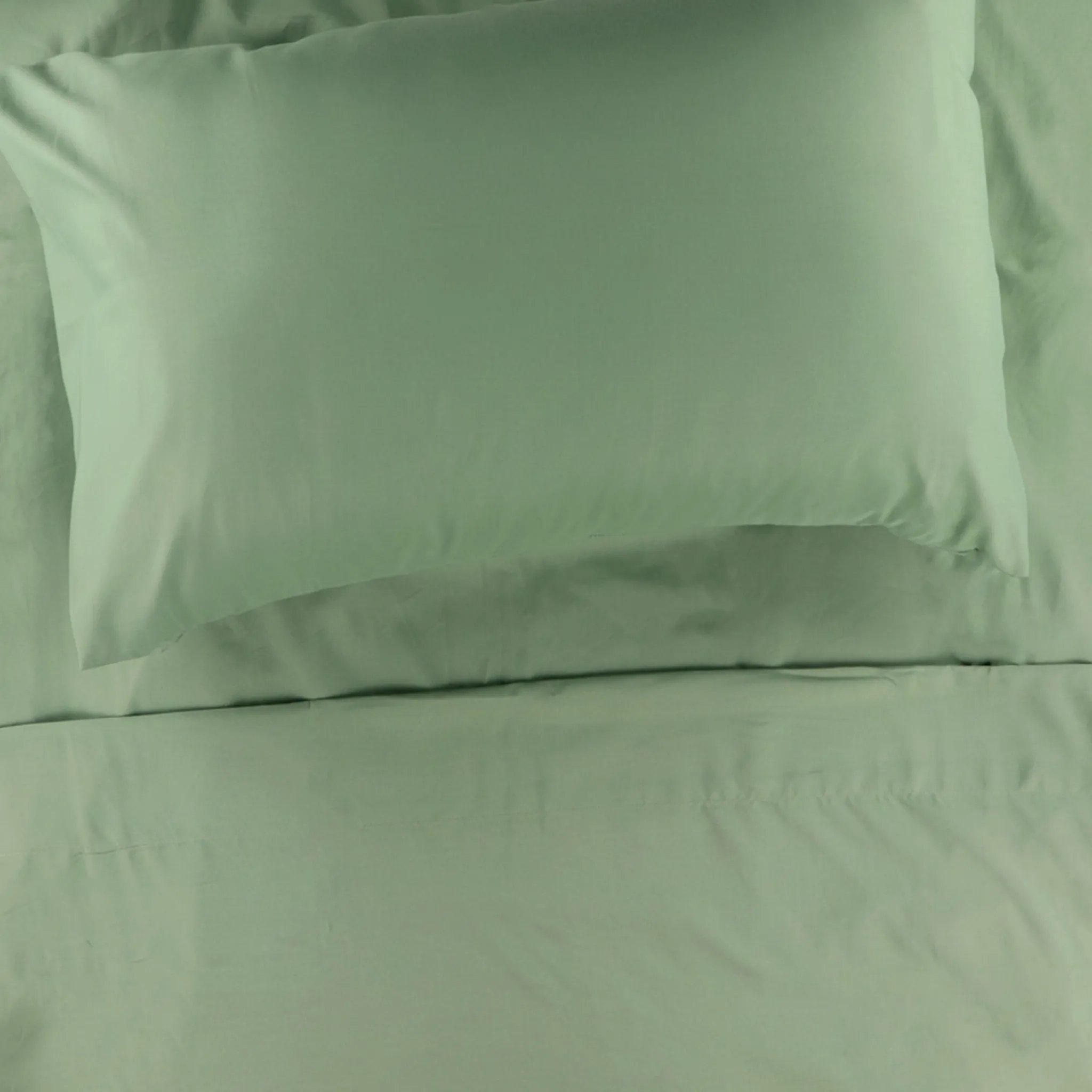 Kids Cathay Home Sheets|Full & Queen Size Bedding>Double Sheet Set - Hedge Green