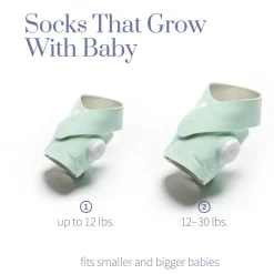 Owlet Monitors & Cameras>Dream Sock - Mint