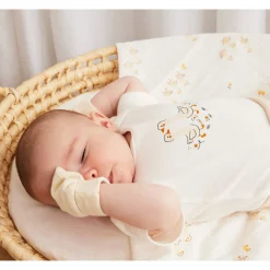 Petit Lem Bodysuits><noscript><img width=