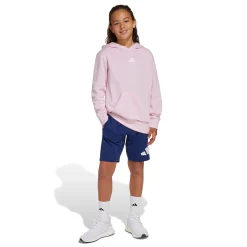 Kids Adidas Essential Hoodie 7-16y