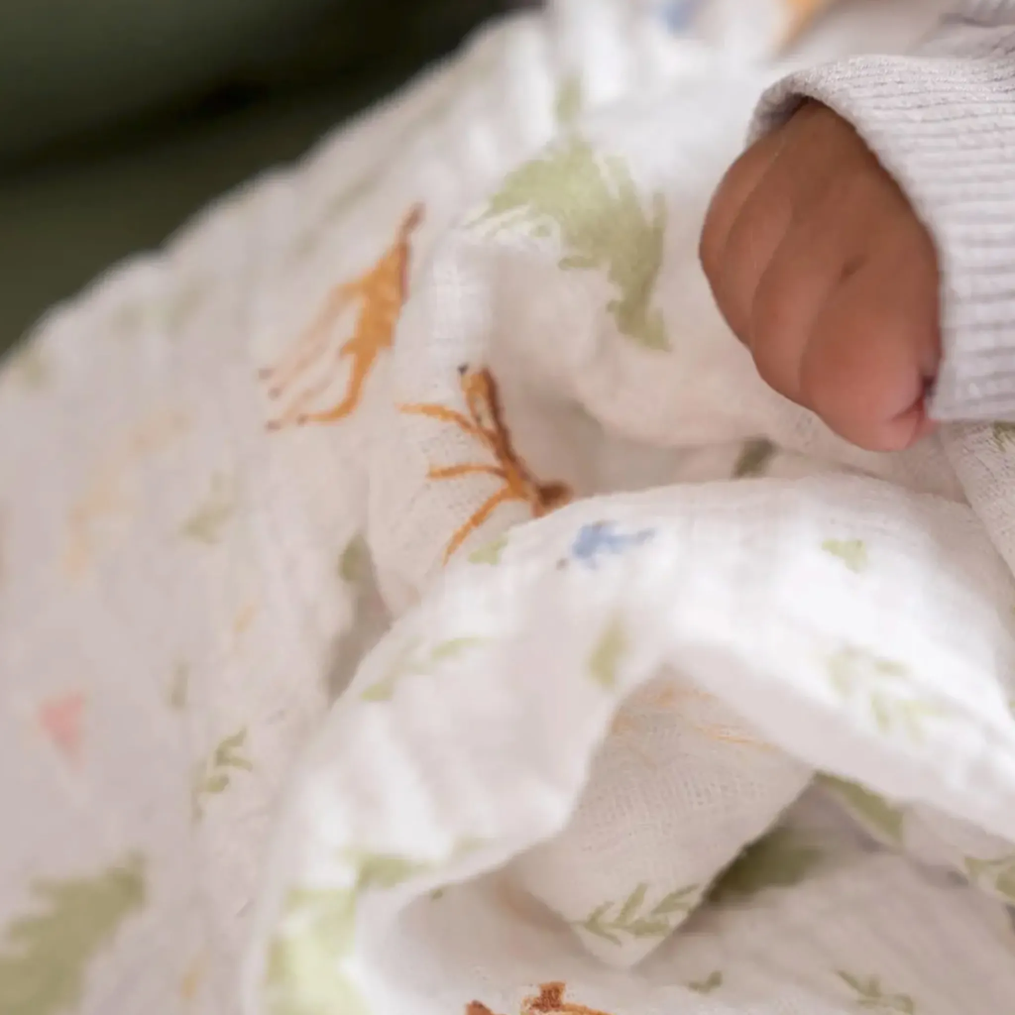 Kids Aden + Anais Blankets|Blankets>Essentials Cotton Muslin Swaddles 2 Pack - Disney™ Bambi / Dumbo