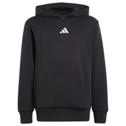Kids/BOY Adidas Sportswear|Fleeces And Sweatshirts>Essentials Hoodie 8-16y