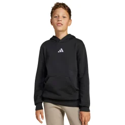 Kids/BOY Adidas Sportswear|Fleeces And Sweatshirts>Essentials Hoodie 8-16y