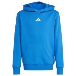 Kids/BOY Adidas Essentials Hoodie 8-16y