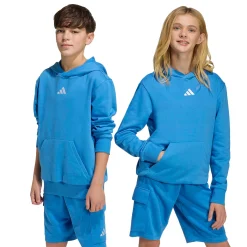 Kids/BOY Adidas Essentials Hoodie 8-16y