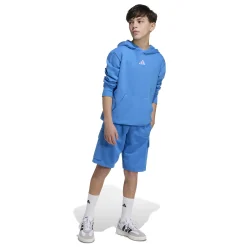 Kids/BOY Adidas Essentials Hoodie 8-16y