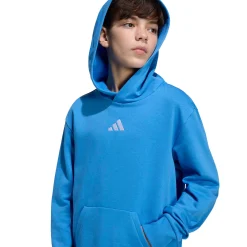 Kids/BOY Adidas Essentials Hoodie 8-16y