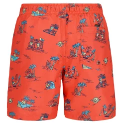 Kids/BOY Quiksilver Swimsuits>Everyday Mix Volley 4-7