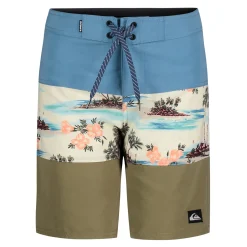 Kids/BOY Quiksilver Everyday Panel Swimshort 8-16