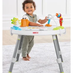 Skip Hop Explore and More Baby's View 3-Stage Activity Center