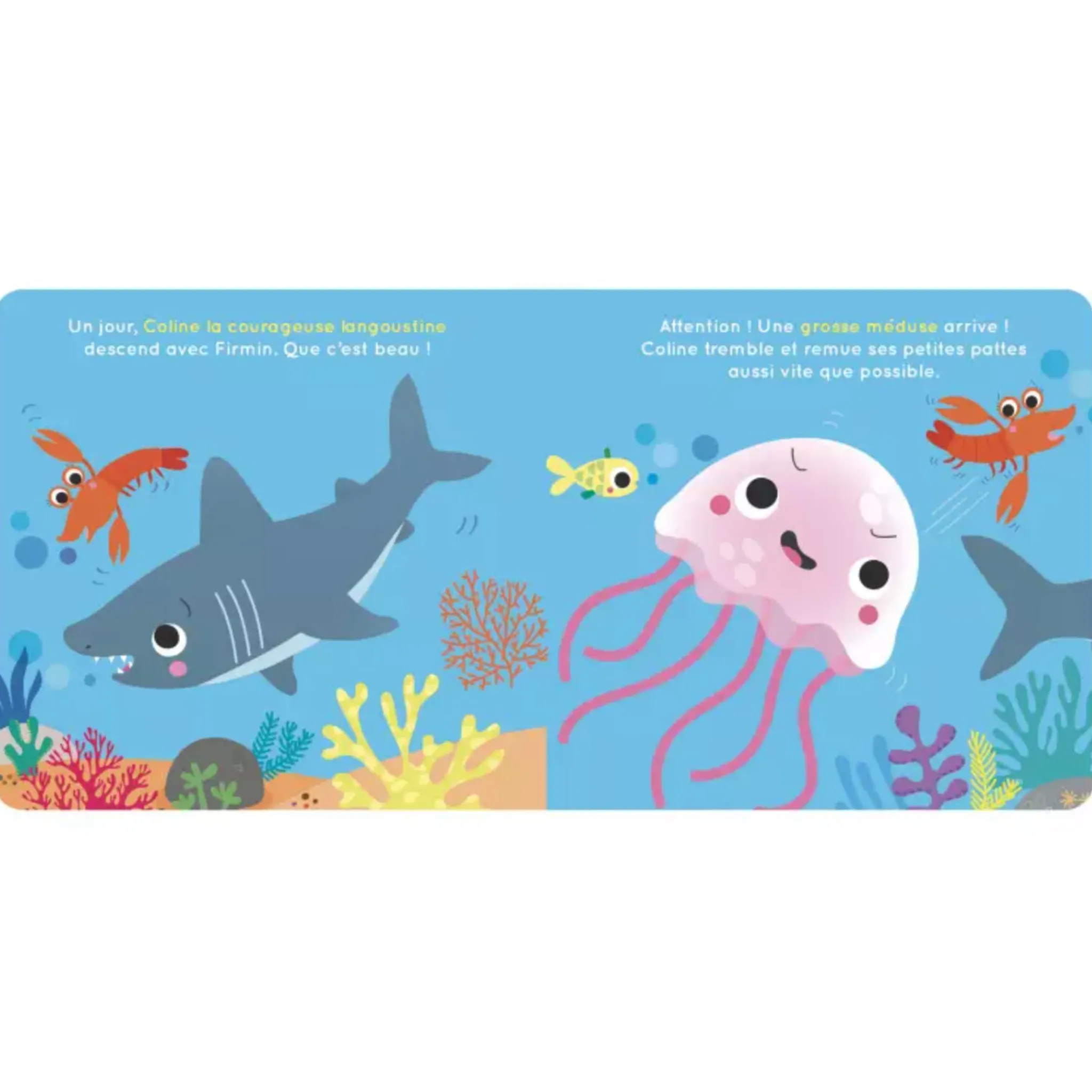 Auzou Firmin Le Requin