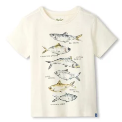 Kids/BOY Hatley Fish T-shirt 3-8
