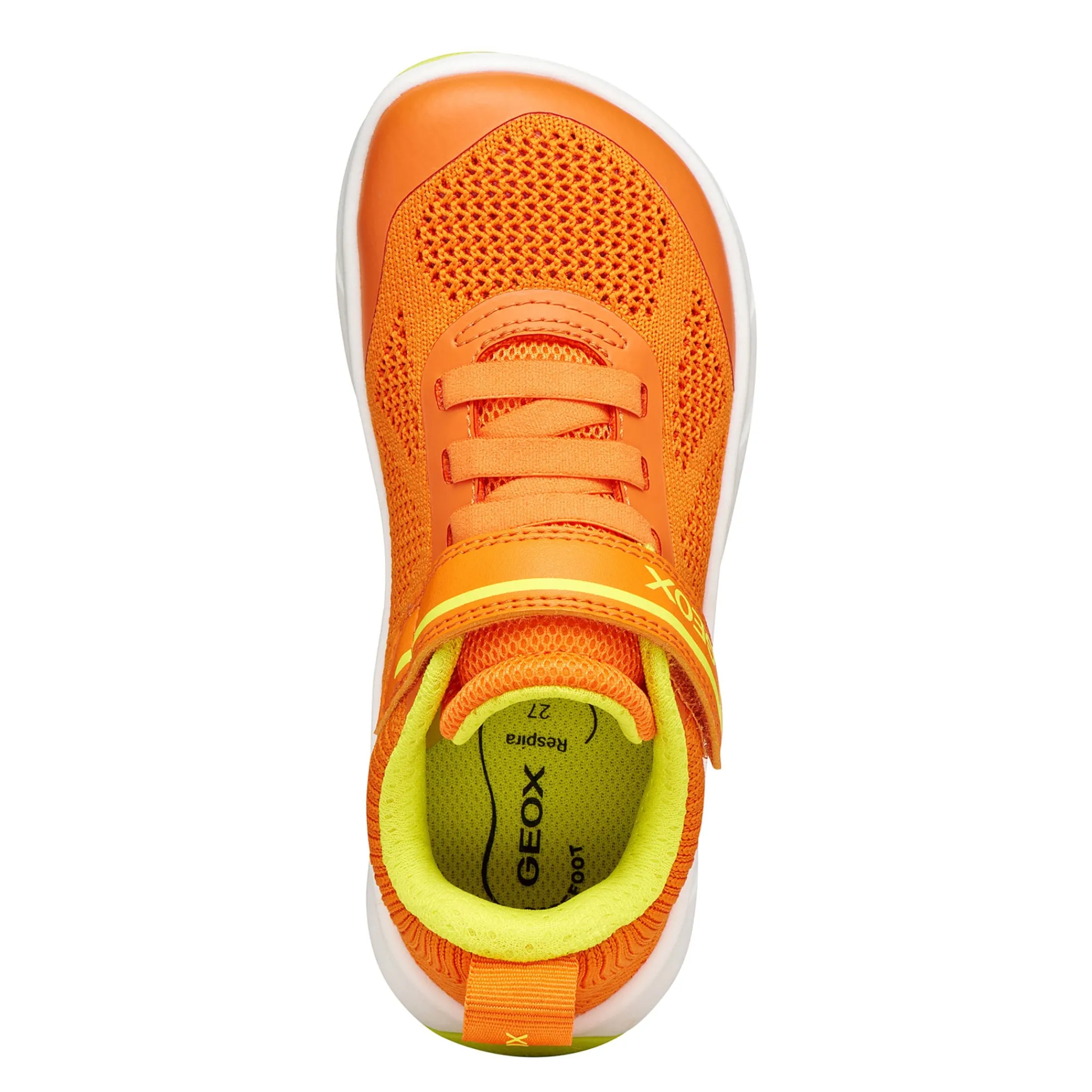 Geox Athletic Shoes|Shoes>Foot-run Shoes 24-33