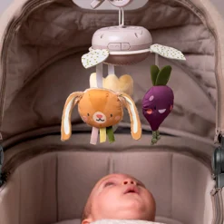 Taf Toy Stroller & Car Seat Toys|Developmental Toys>Garden Take along mobile