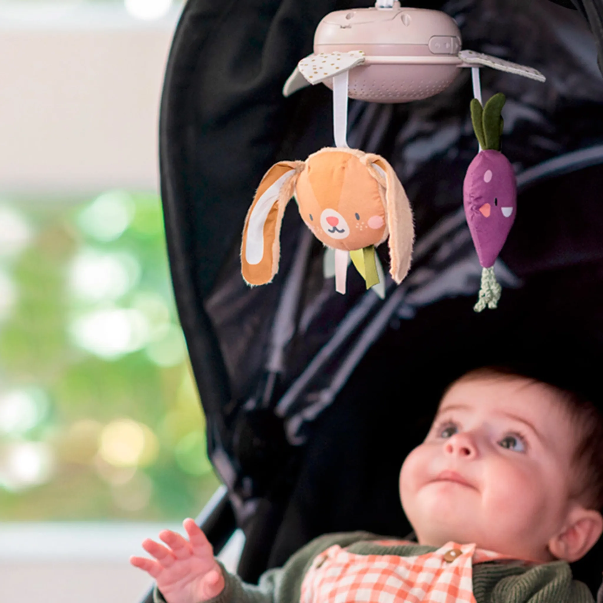 Taf Toy Stroller & Car Seat Toys|Developmental Toys>Garden Take along mobile
