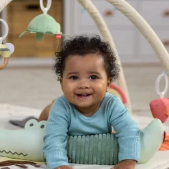 Skip Hop Geometric Wonders Baby Play Gym