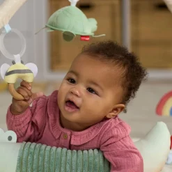 Skip Hop Geometric Wonders Baby Play Gym