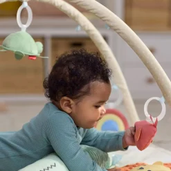 Skip Hop Geometric Wonders Baby Play Gym