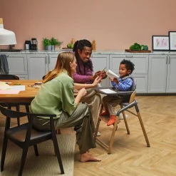 Bugaboo High Chairs & Booster Seats|High Chairs & Booster Seats>Giraffe Complete Wwood/grey