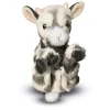 Douglas Plush Toys>Goat 6"