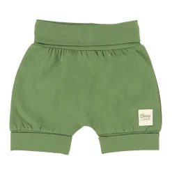 BOY Camp by Birdz Green Evolutive Short 3-24m