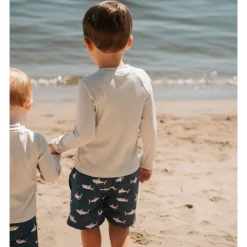 Kids/BOY Petit Lem Long Sleeve Rashguard 2-7y